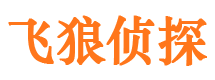 樊城市婚姻调查